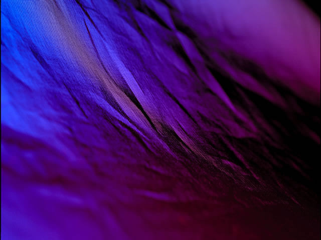 Пурпур